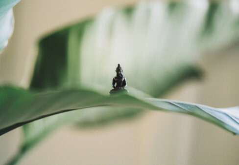 statuina di buddah su una foglia
