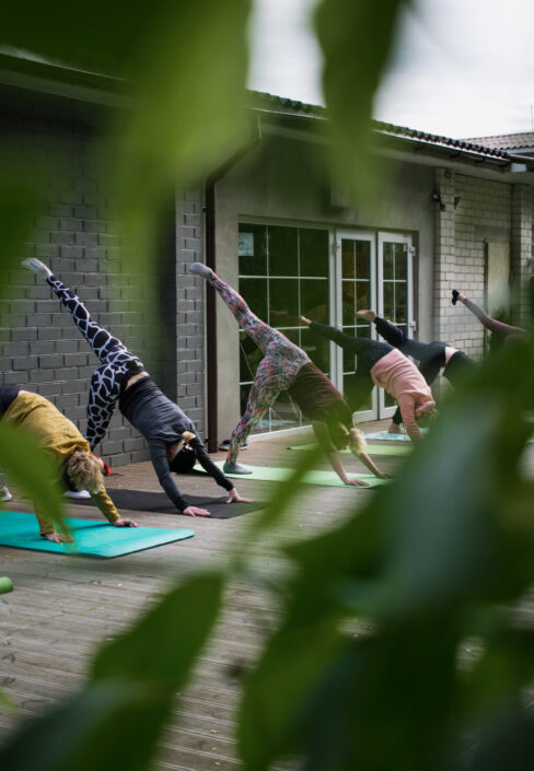 gruppo di ragazze fa yoga fuori casa